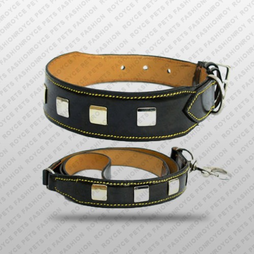 Dog Collar